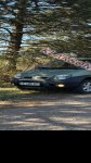 продам Renault Scenic RX в пмр  фото 4
