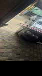 продам SEAT Toledo в пмр  фото 3