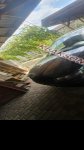 продам SEAT Toledo в пмр  фото 2