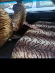 продам ВАЗ 2109 в пмр  фото 2