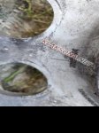 продам  Комплектующие диски и шины в пмр  фото 1
