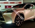 продам Lexus NX в пмр  фото 6