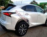 продам Lexus NX в пмр  фото 4